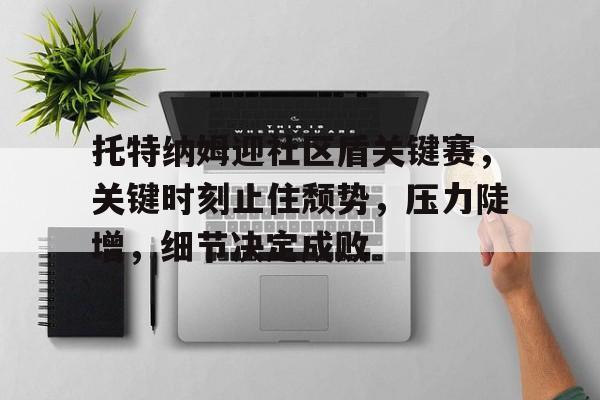 lol职业选手-关于托特纳姆迎社区盾关键赛，关键时刻止住颓势，压力陡增，细节决定成败的信息
