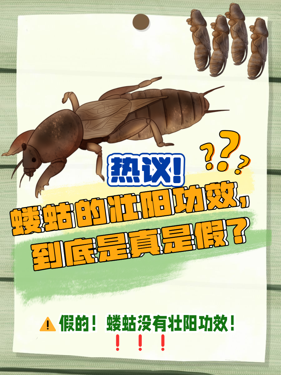 崬?2顓?勨??嚛谏S??W捥惽?t5?蛄?[9硑詻i魸晀?牀6(鈥滄柊涓紡鈥濇湇瑁呬负鍟彈杩芥崸)